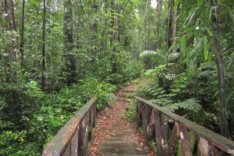 Sentier de la randonnée
