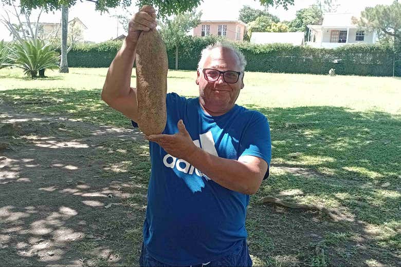 Conociendo las plantas del Jardín Botánico