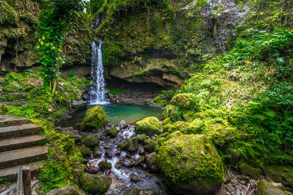 Emerald Pool, Spanny Falls, and Botanical Garden Tour