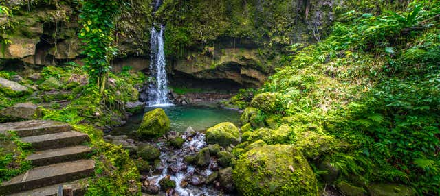 Excursión a la Piscina Esmeralda, cataratas Spanny y Jardín Botánico