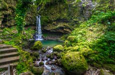 Escursione all'Emerald Pool, Spanny Falls e Giardino Botanico