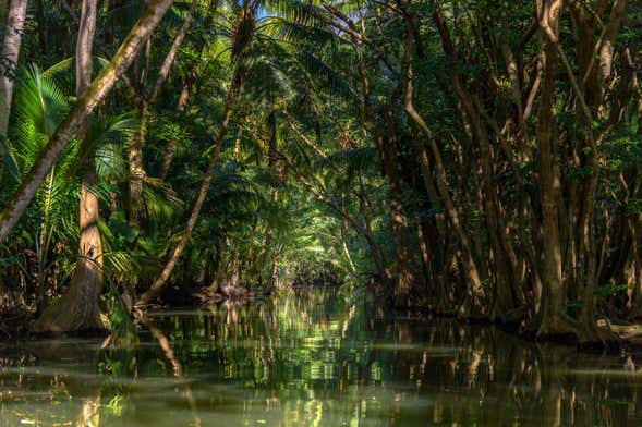 Senderismo por Dublanc + Barco por el río Indio para cruceros