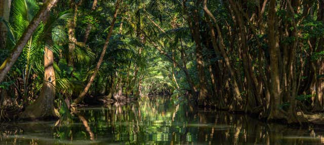 Senderismo por Dublanc + Paseo en barco por Indian River