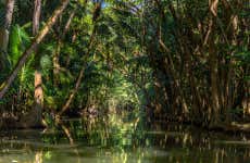 Senderismo por Dublanc + Paseo en barco por Indian River
