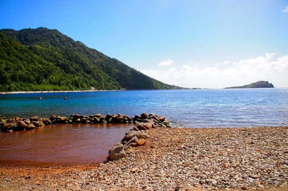 Champagne Reef Snorkelling Tour