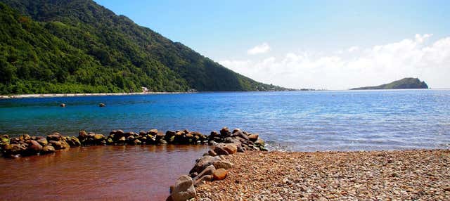 Snorkel en el arrecife de Champán