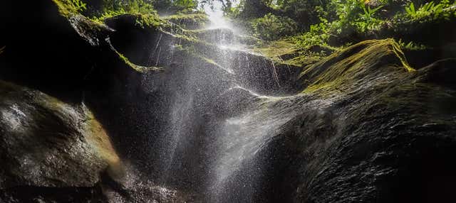 Excursión a Titou Gorge, cascadas de Trafalgar y Wotten Waven