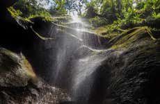 Excursión a Titou Gorge, cascadas de Trafalgar y Wotten Waven