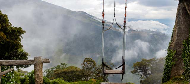 Excursión a la Casa del Árbol