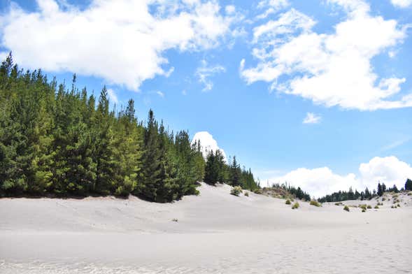 Excursión al desierto de Palmira y lagunas de Altillo