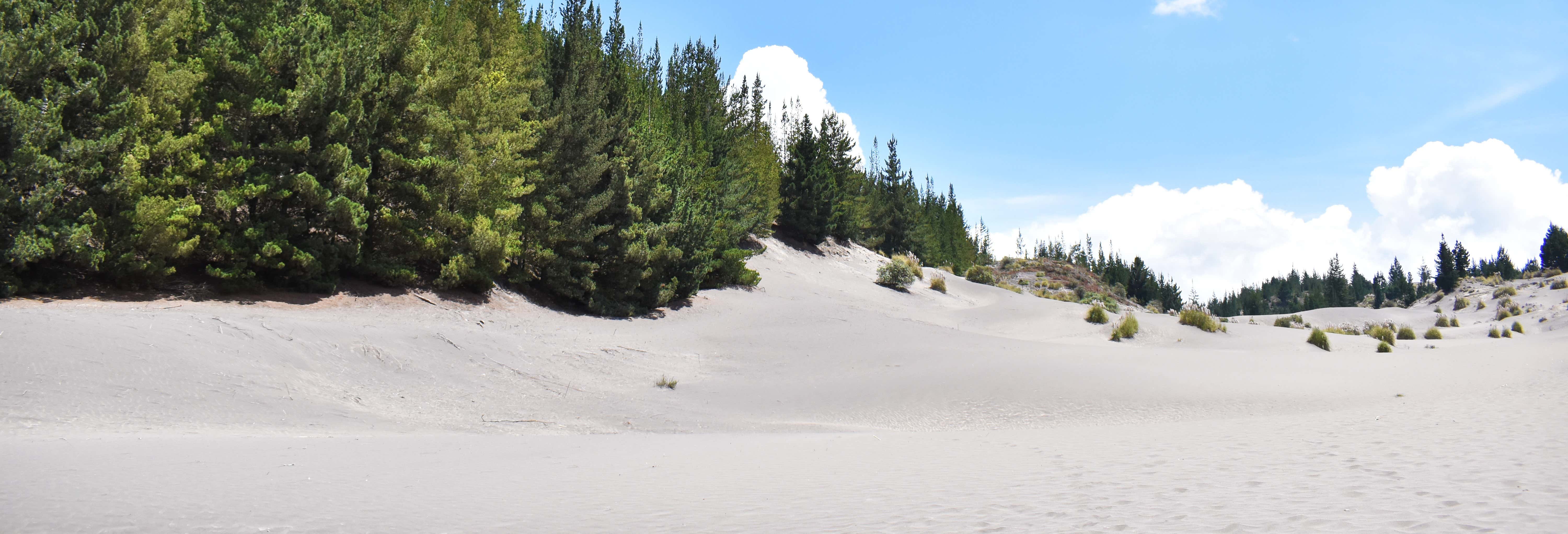Day trips in Baños de Agua Santa