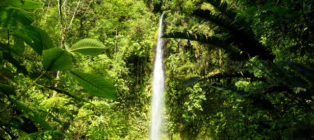 Excursión a la Reserva Hola Vida