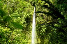 Excursión a la Reserva Hola Vida