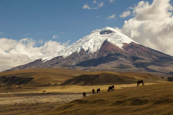 cotopaxi(コトパクシ)