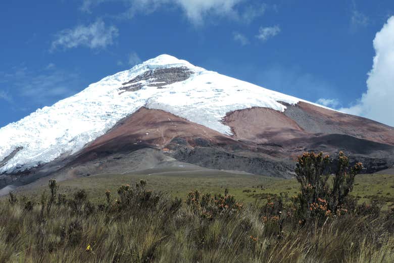 Cima del vulcano Cotopaxi