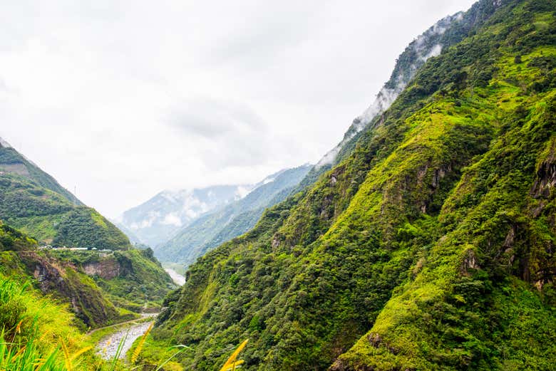 The beautiful landscape
