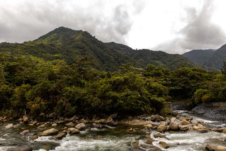 Naturaleza en Baños de Agua Santa