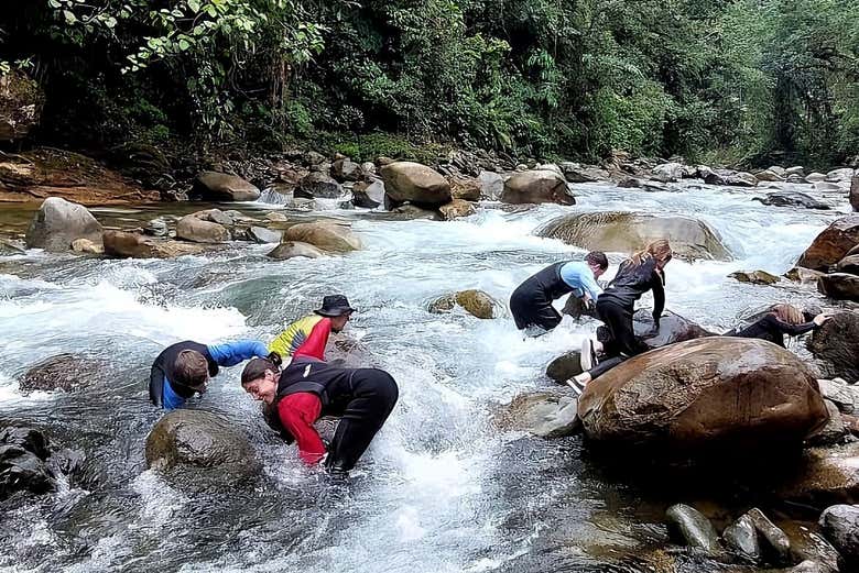 Look for fish in the river