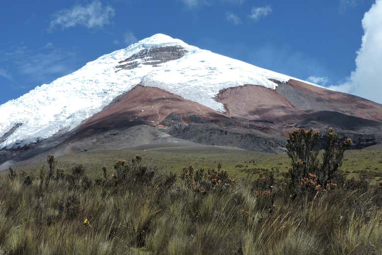 Punta glaciar del Cotopaxi