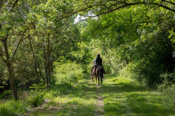 Paseo a caballo por Baños de Agua Santa