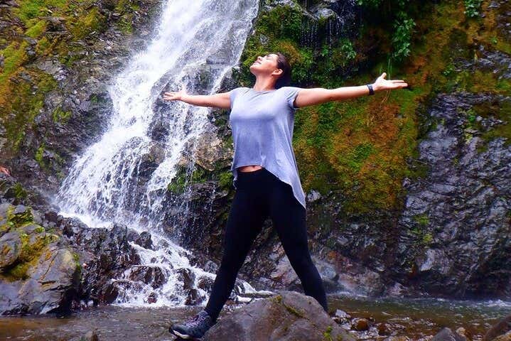 Immerse yourself in the Ecuadorian jungle