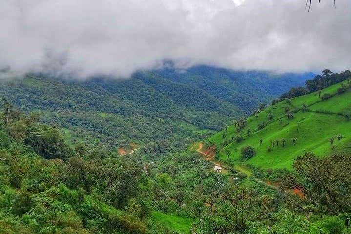 Visit the iconic Cloud Forest