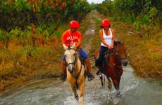 Paseo a caballo por Bucay