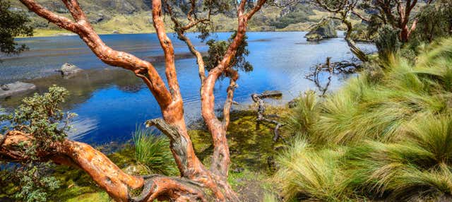 Excursión al Parque Nacional Cajas