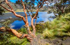 Cajas National Park Tour