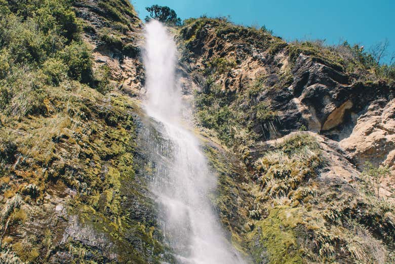 Contemplando la cascata