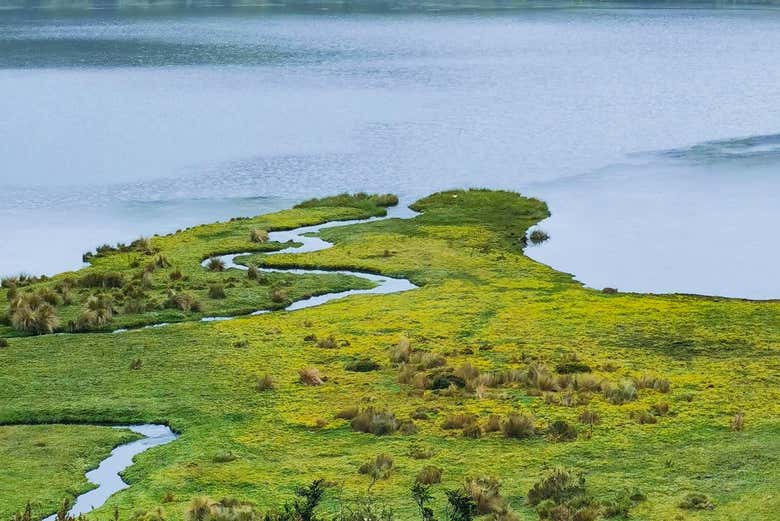 Laguna Luspa