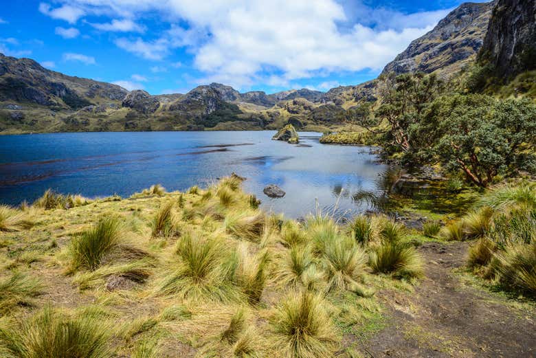 Laguna Toreadora