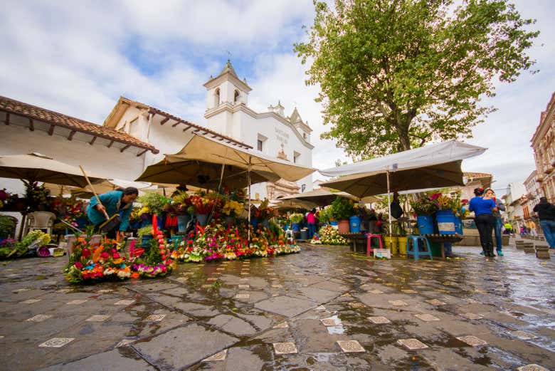 Walk around the colourful Flower Market