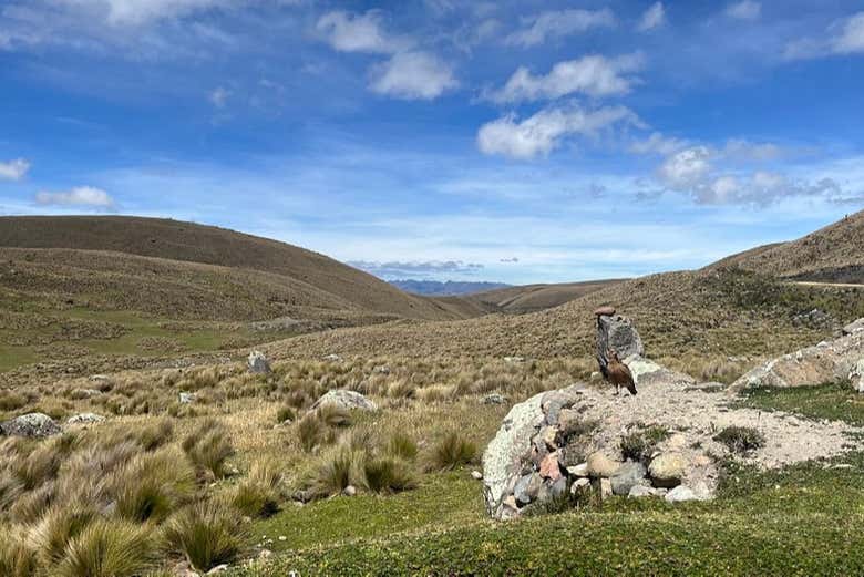 Itinerario di trekking