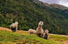 Senderismo por el Parque Nacional Cajas