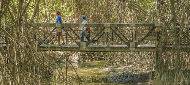 Excursión al bosque Cerro Blanco