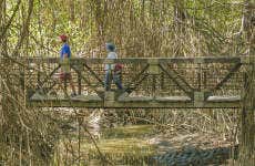 Cerro Blanco Forest Day Trip