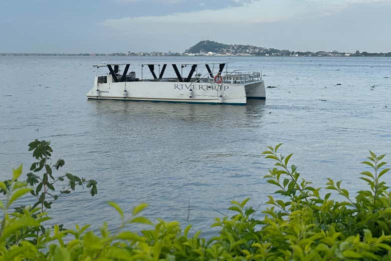 Sail along the Guayas River in comfort and style