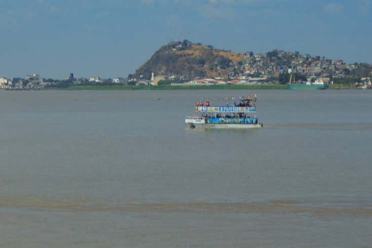 Take an exciting boat ride on the Guayas River
