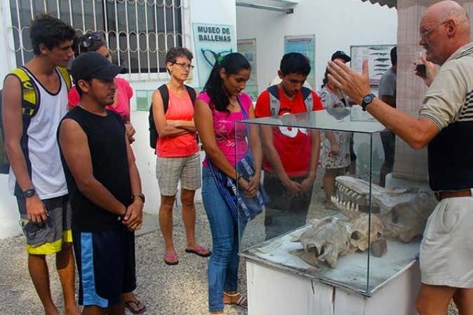 En el Museo de las Ballenas
