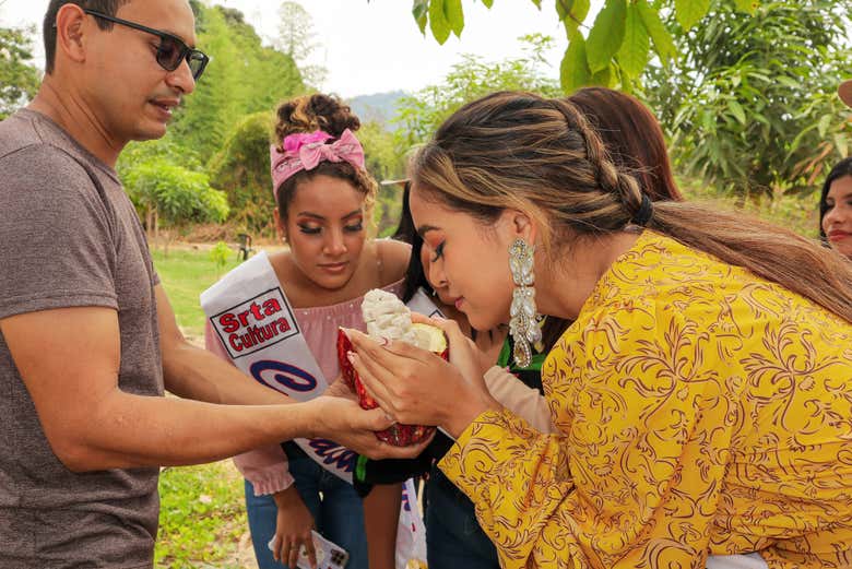 Disfrutando del aroma del cacao