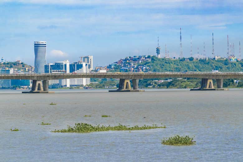 Río Guayas à son passage à Guayaquil