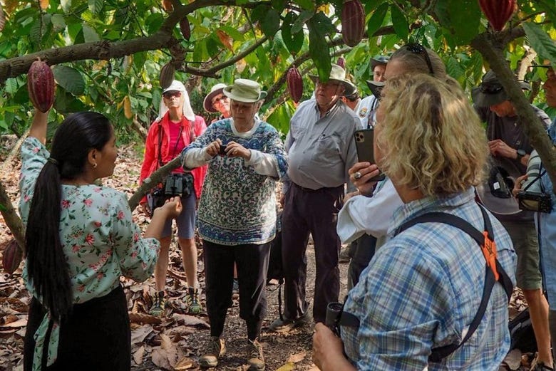 Visitando una plantación de cacao