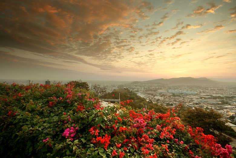 Guayaquil