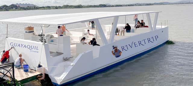 Paseo en catamarán por el río Guayas