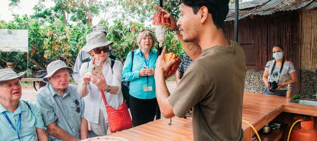 Hacienda Cacao y Mango Chocolate Tour