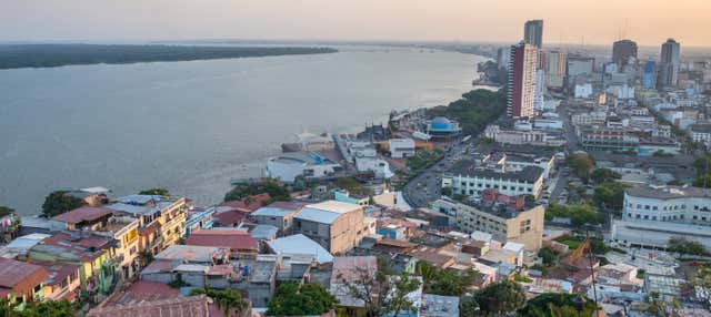 ¿Escala en Guayaquil? Tour privado desde el aeropuerto
