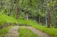 Visita guiada pelo Jardim Botânico