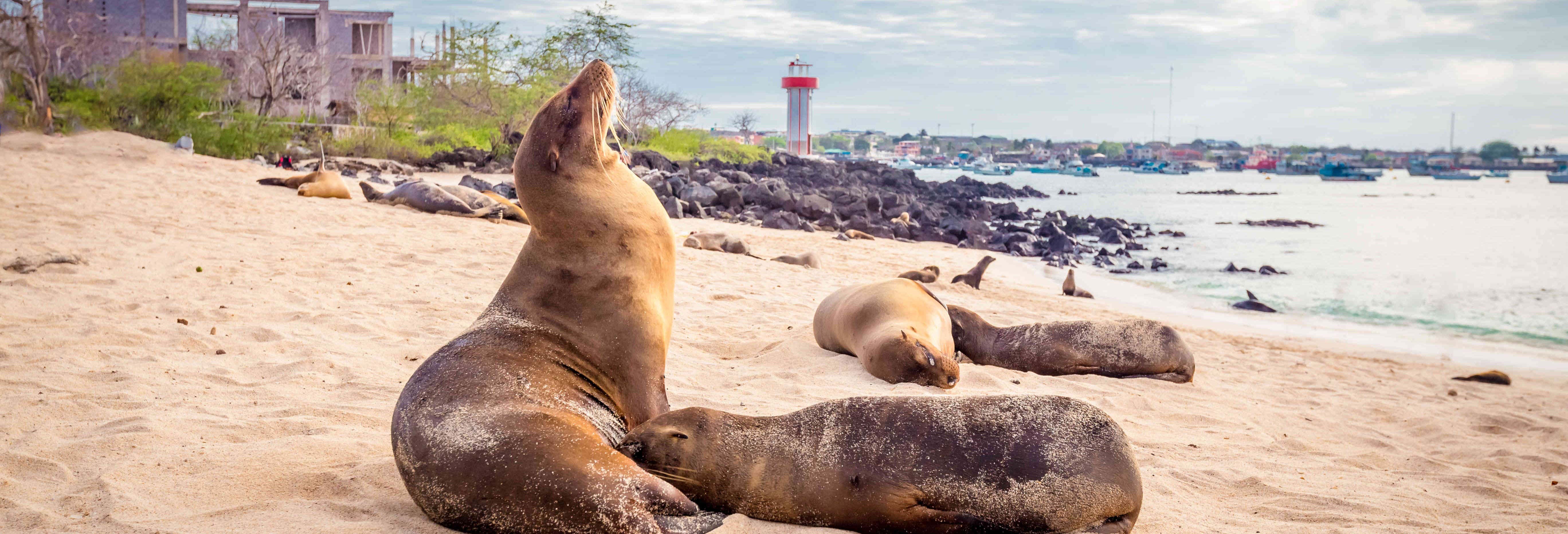 Excursões de um dia em Ilha de São Cristóvão