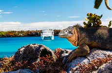 Crucero de 8 días por las islas Galápagos al completo